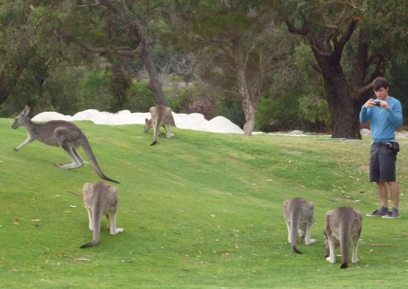 008 Anglesea Golf Course 25th Mar 2013.JPG